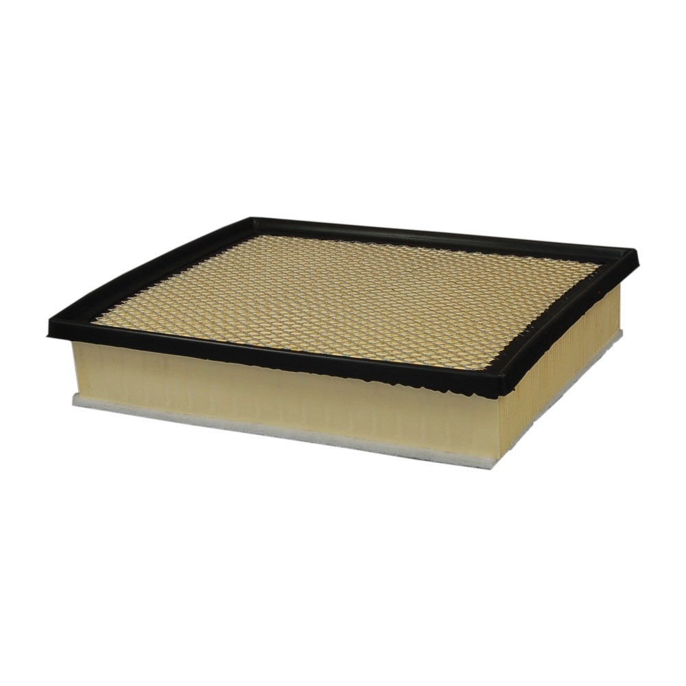 Ecogard Engine Air Filter XA10242
