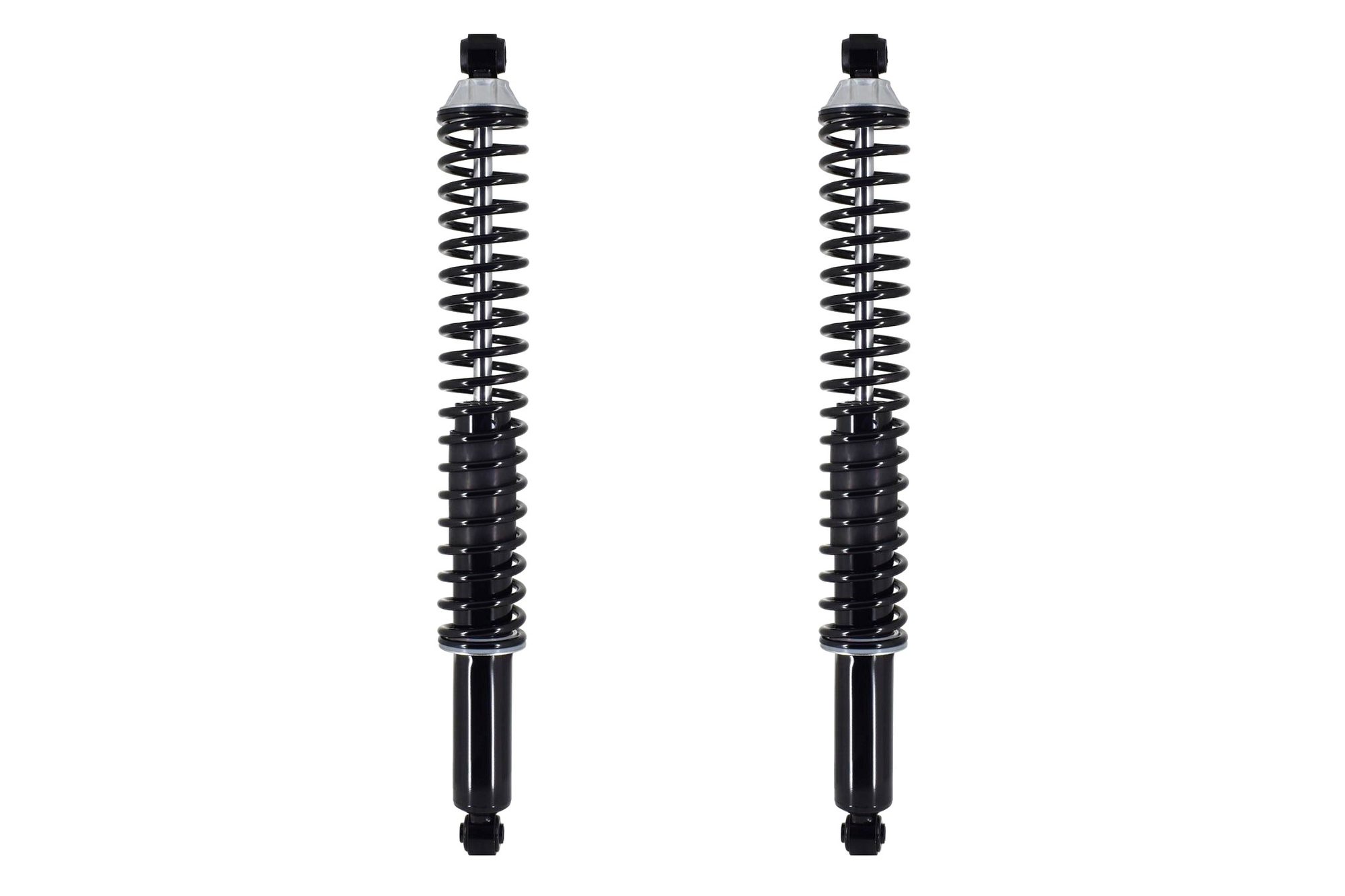FCS 1998 Ford Ranger Rear Suspension Shock Absorber and Coil Spring ...