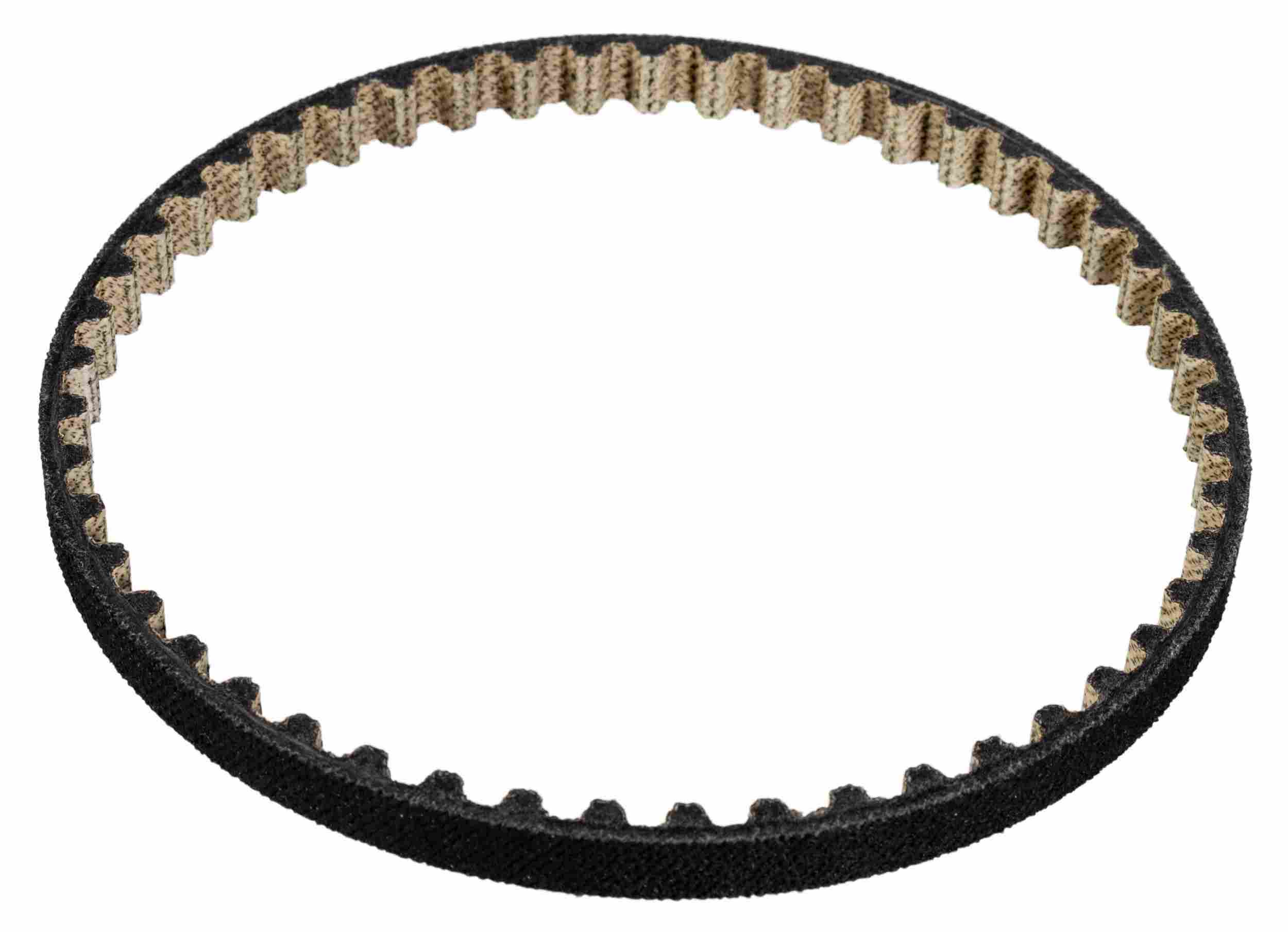 Febi Accessory Drive Belt 178012