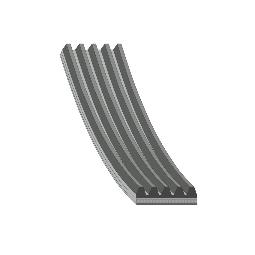Febi Accessory Drive Belt 186373