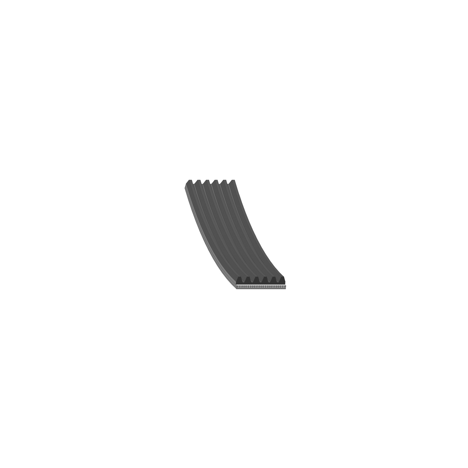 Febi Accessory Drive Belt AD06R1255