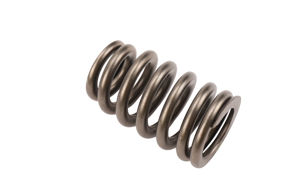 GM Genuine Parts Engine Valve Spring 12706568 — image 2
