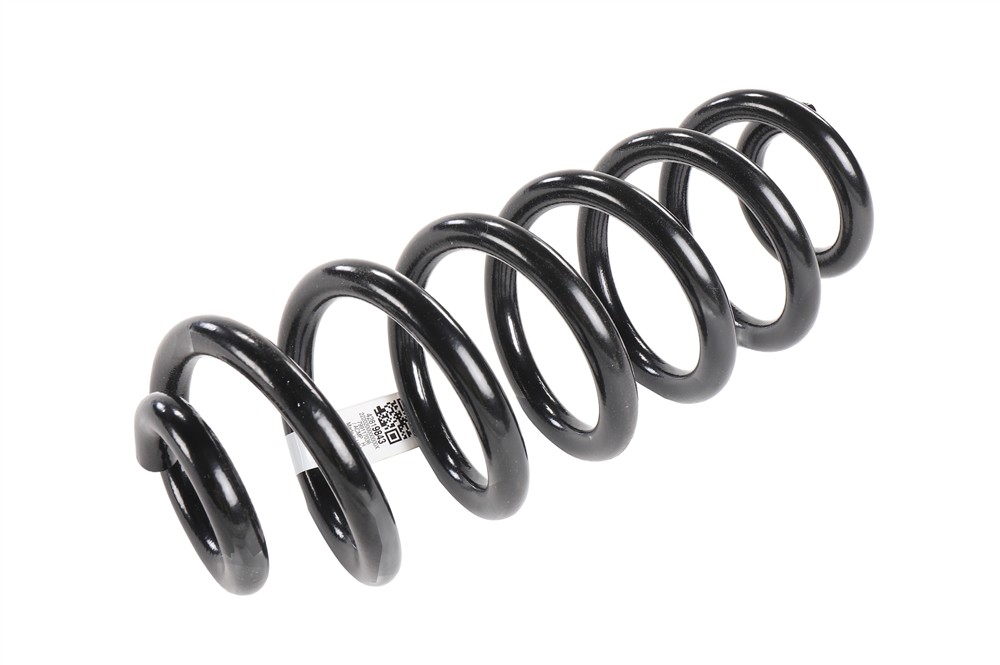 GM Genuine Parts Coil Spring 42819843