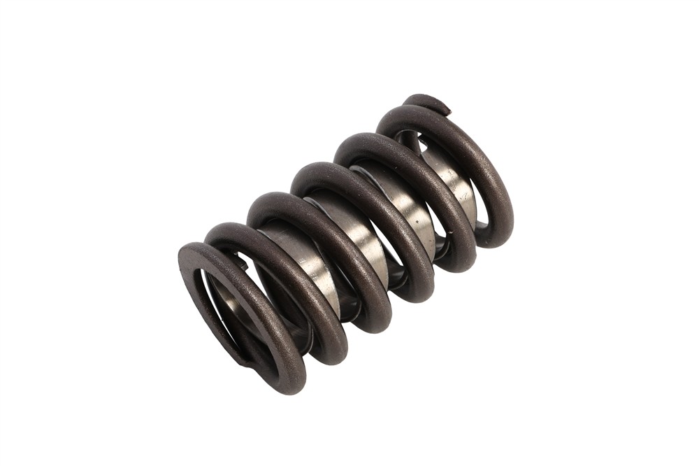 GM Genuine Parts Engine Valve Spring 94666580