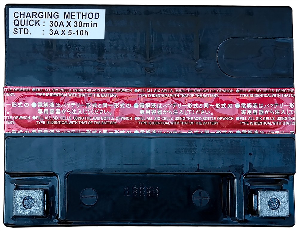 ACDelco Vehicle Battery ACTX30LBSA — image 4