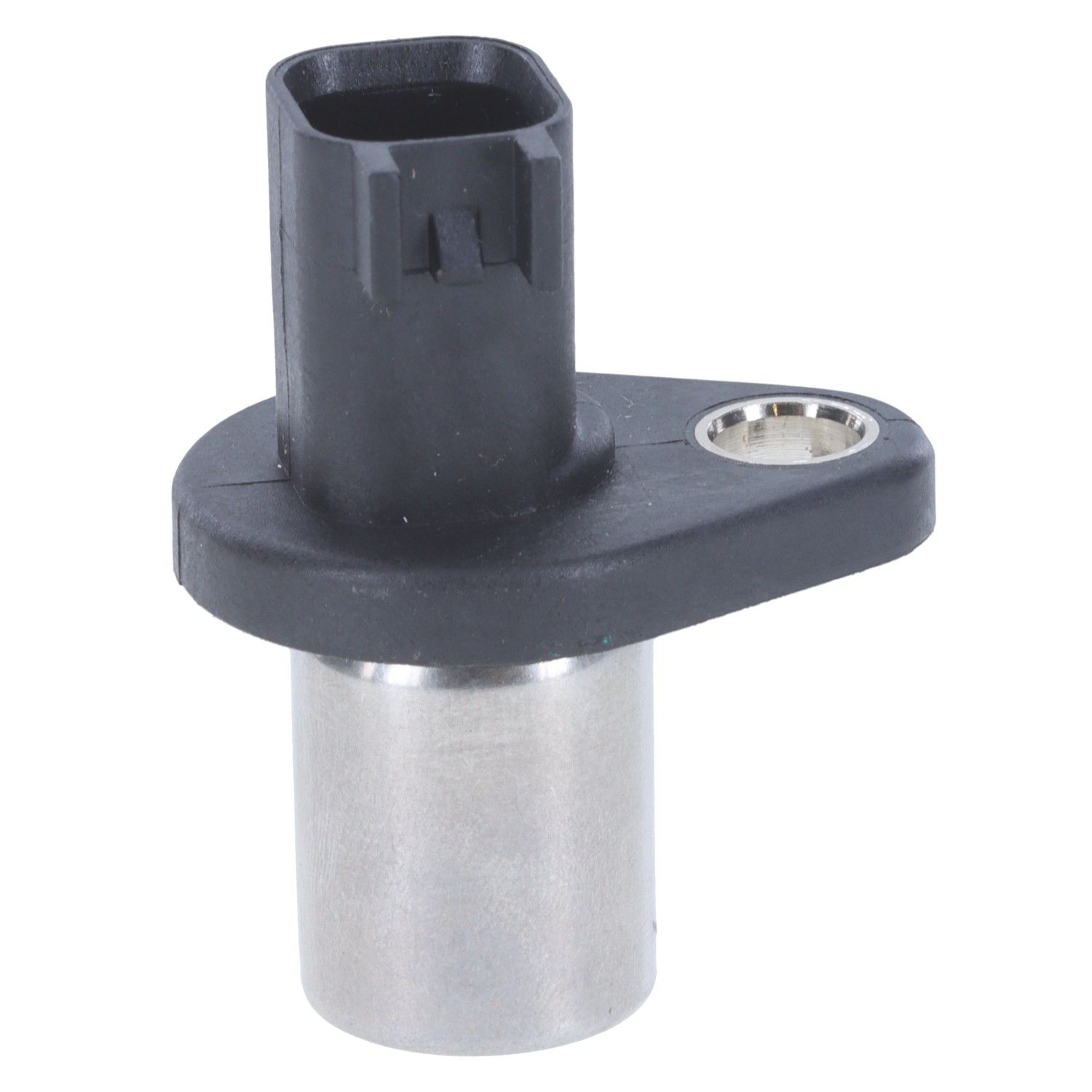 Motorad Engine Crankshaft Position Sensor 1KR228 — image 6