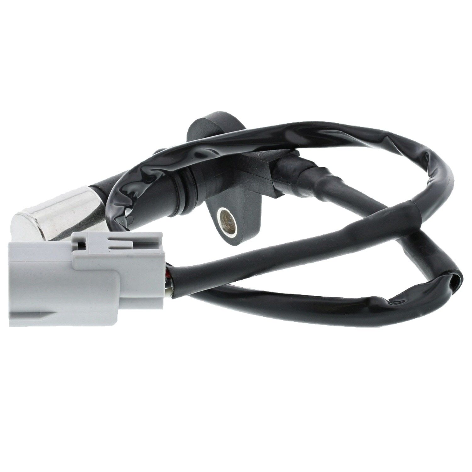 Motorad Engine Crankshaft Position Sensor 1KR307 — image 6