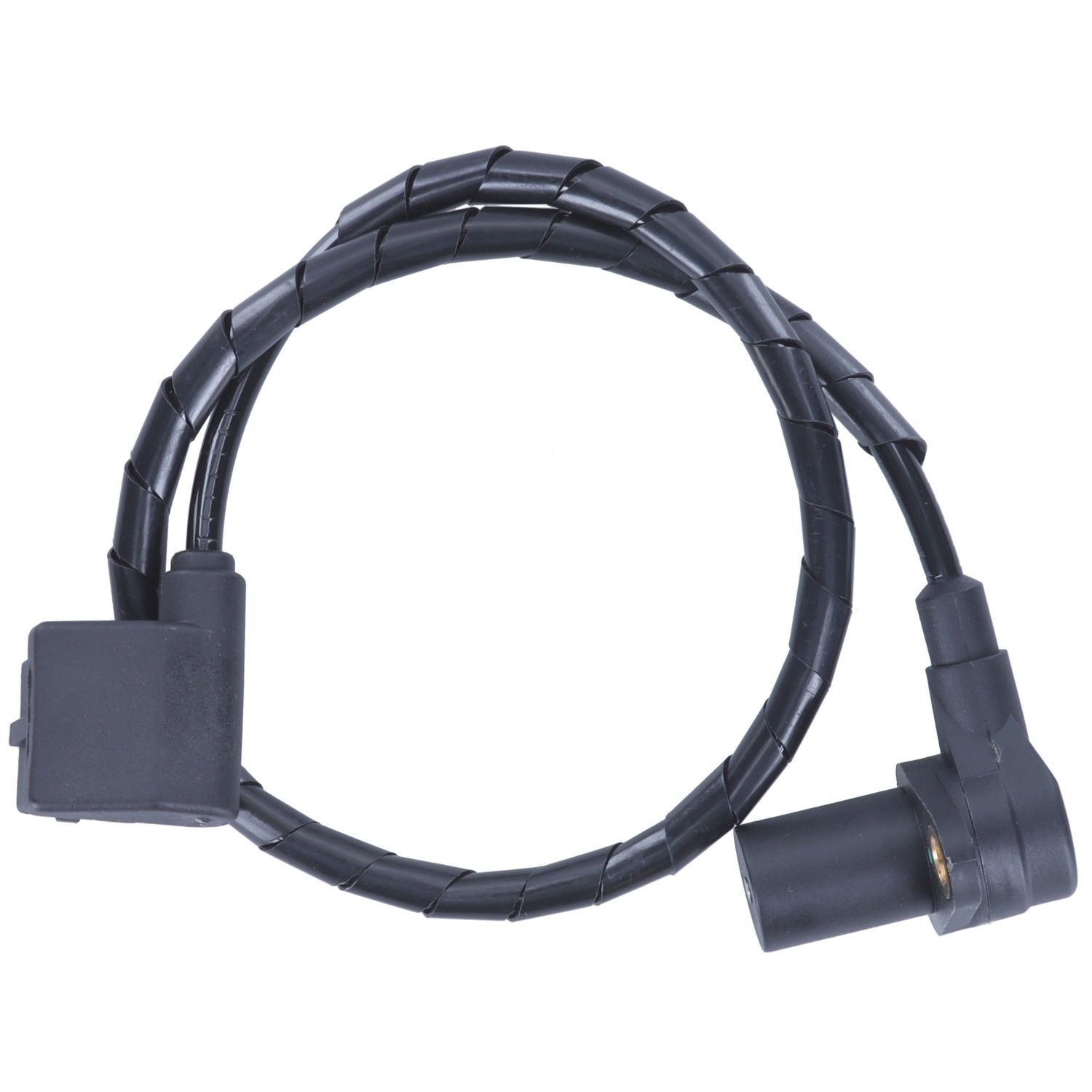 Motorad Engine Crankshaft Position Sensor 1KR9165 — image 4