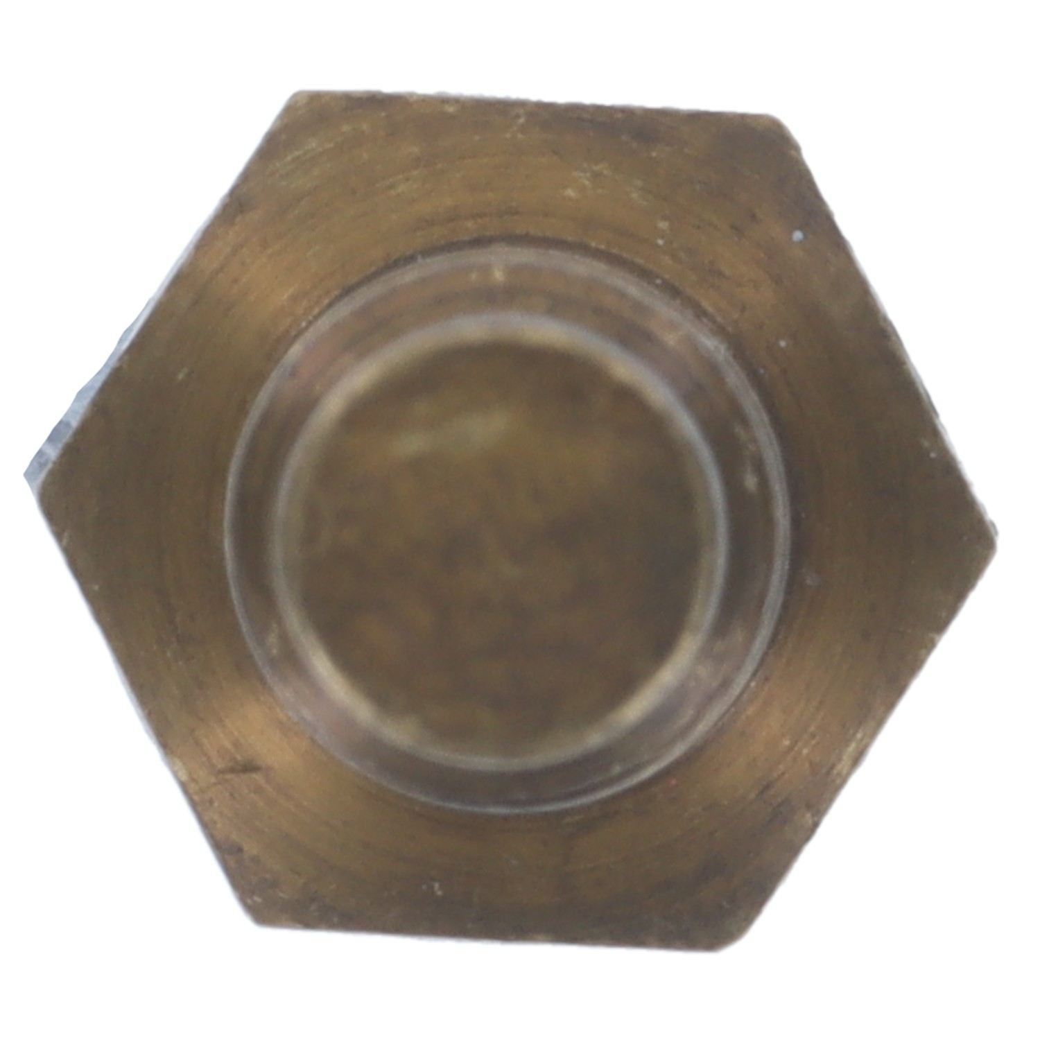Motorad Engine Coolant Temperature Sender 1TS1301 — image 5