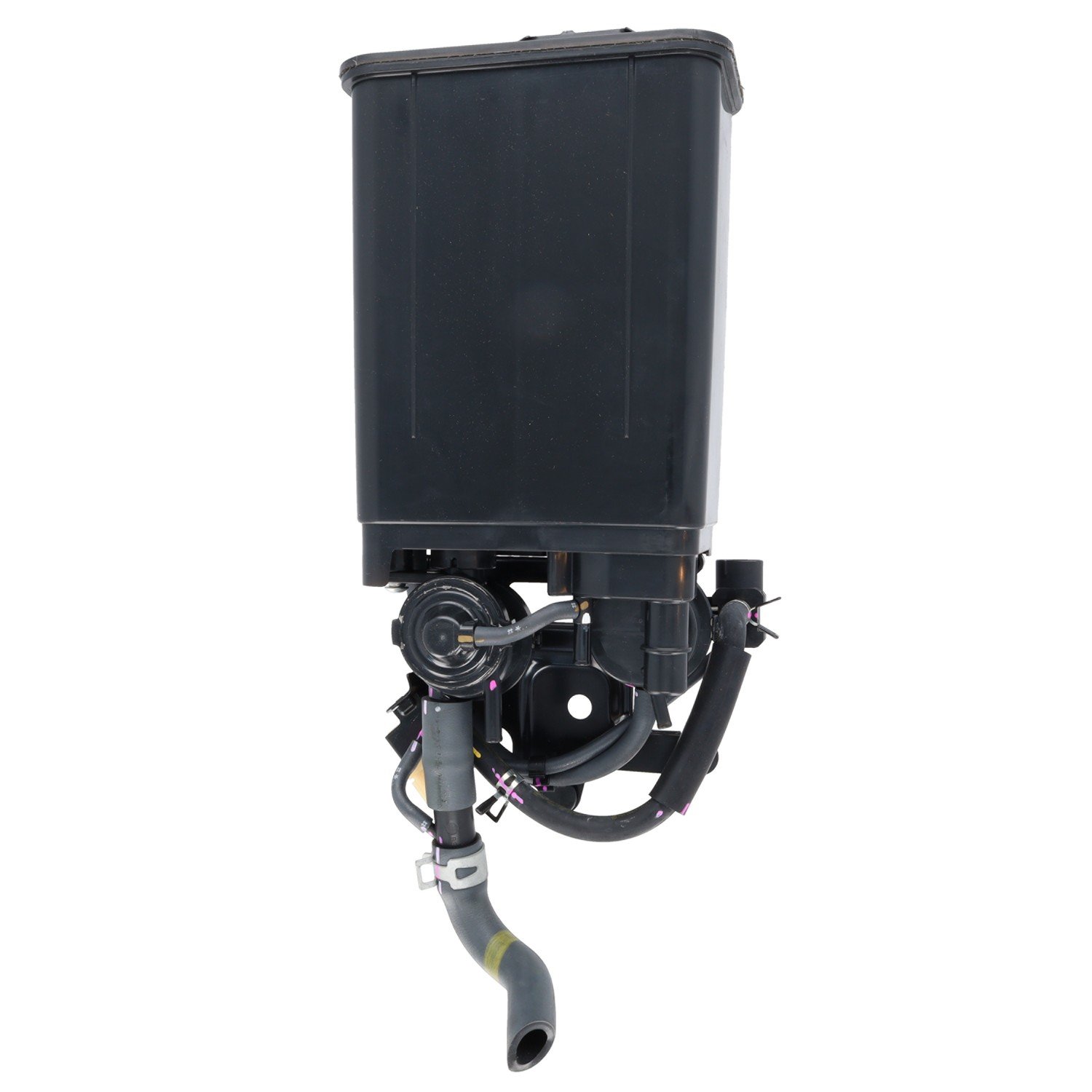 Motorad Vapor Canister EVP0182 — image 4