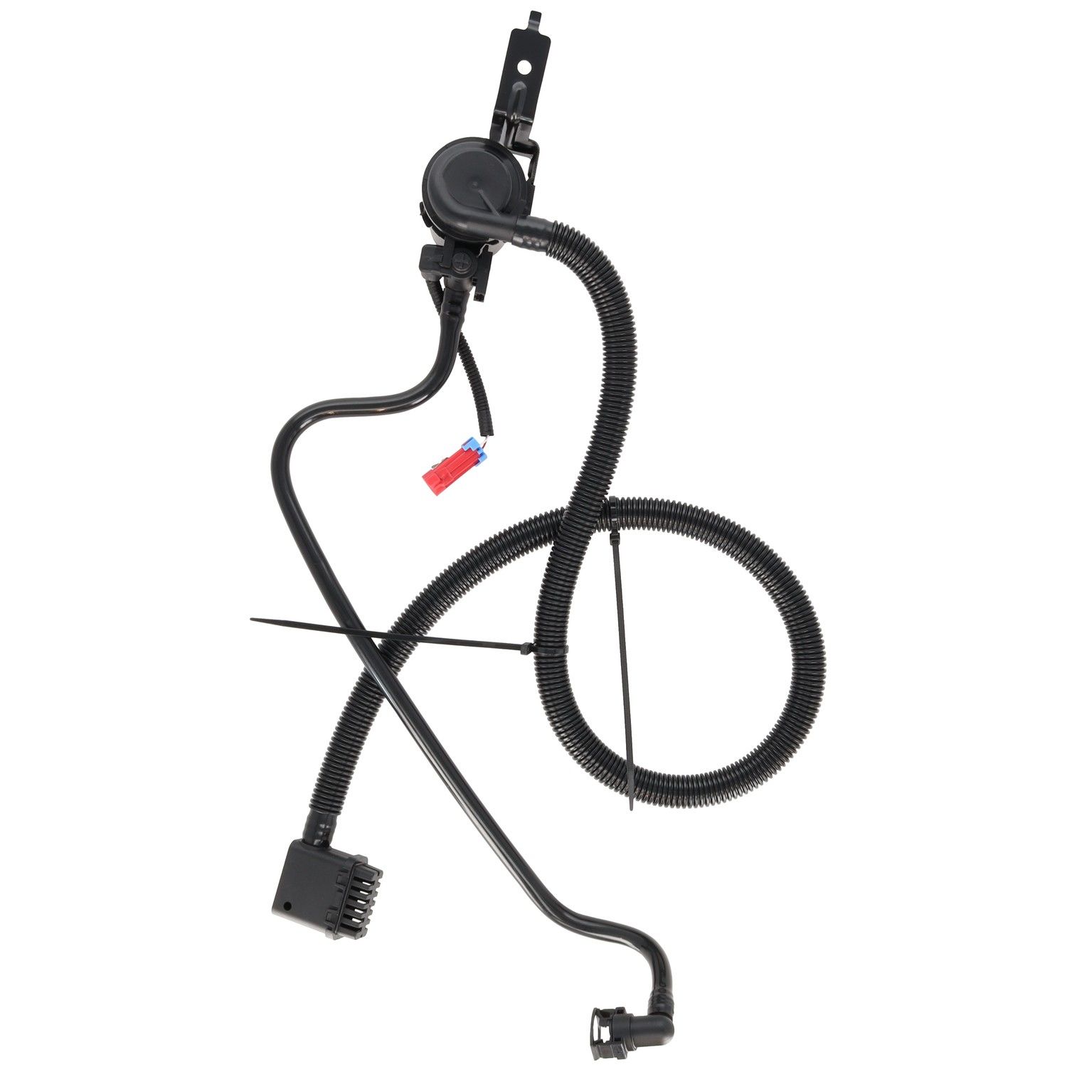 Motorad Vapor Canister Vent Valve EVP1336 — image 4