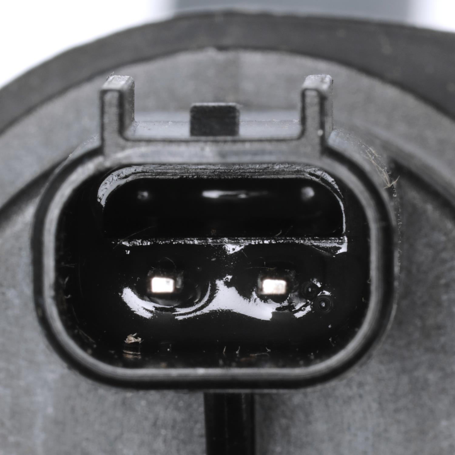 Standard Ignition Vapor Canister Purge Solenoid (CP550) - 2