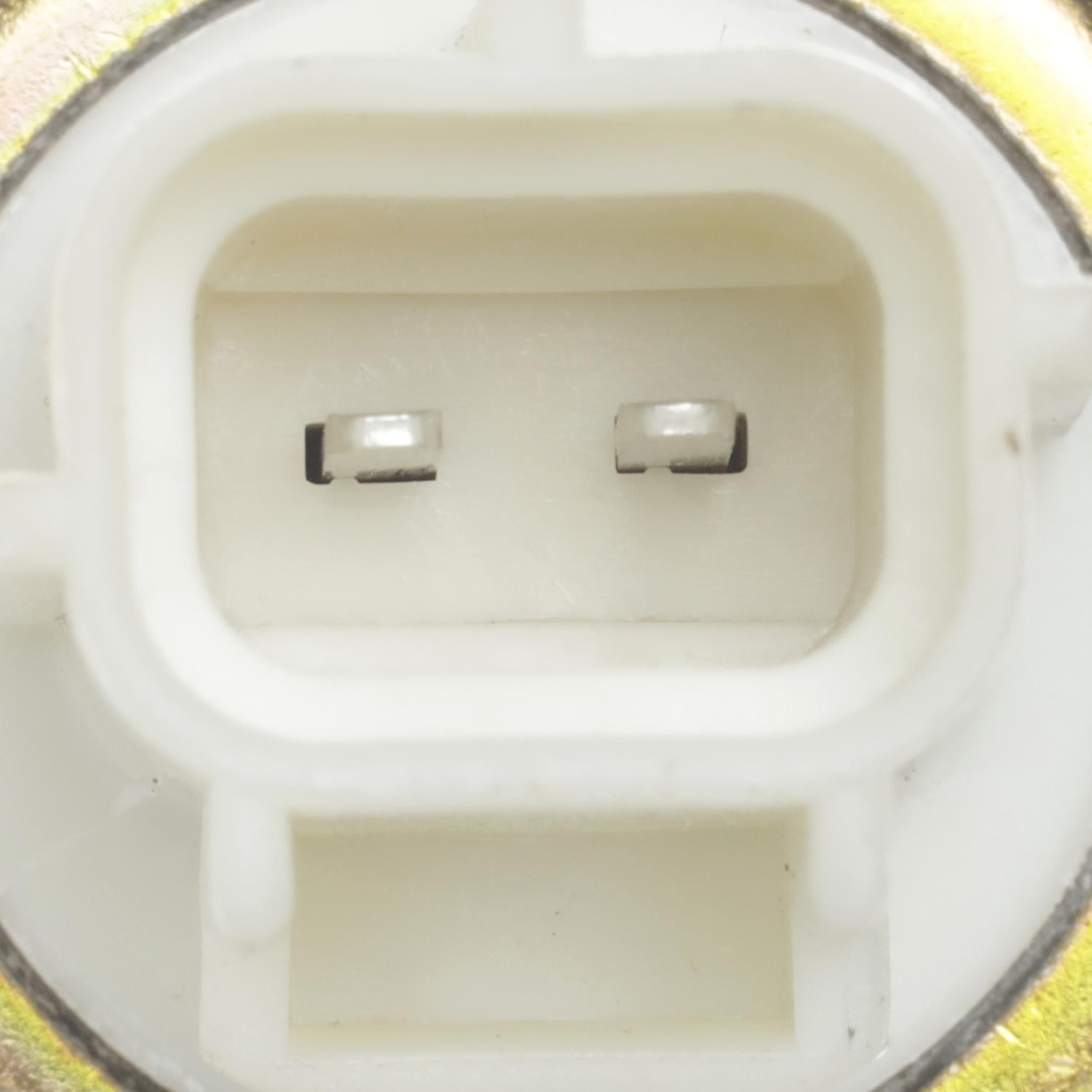 Standard Ignition Vapor Canister Vent Solenoid (CVS29) - 2