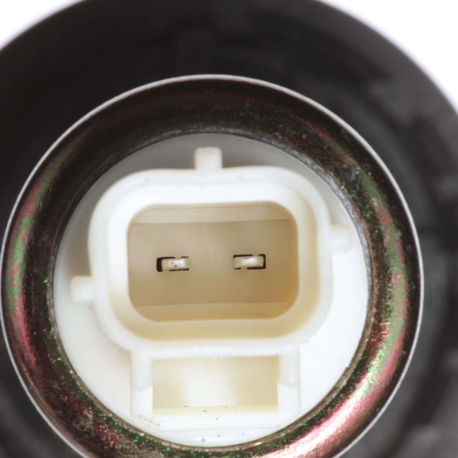Standard Ignition Vapor Canister Vent Solenoid (CVS15) - 2