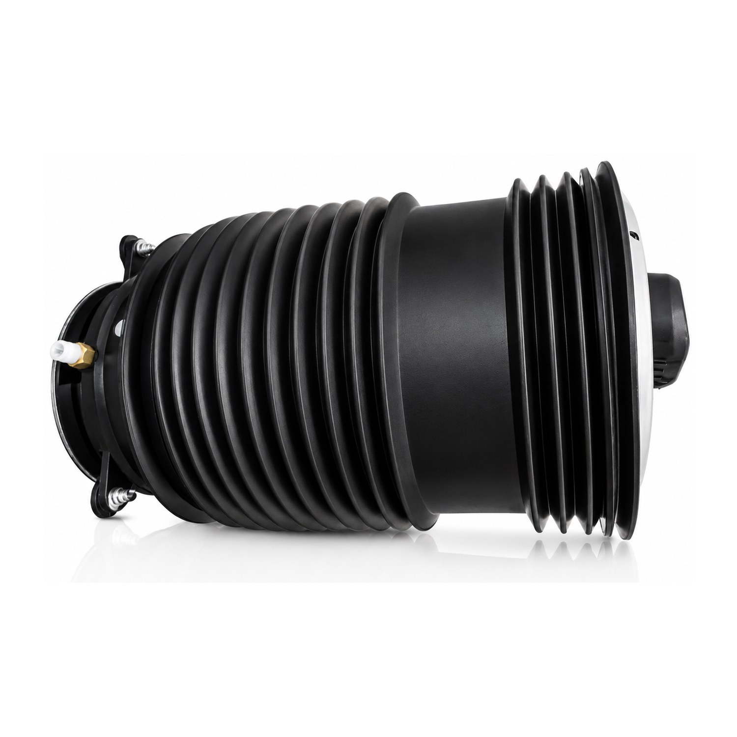 Rear Left Air Suspension Spring | Westar AS-17102 Fits Mercedes-Benz — image 3