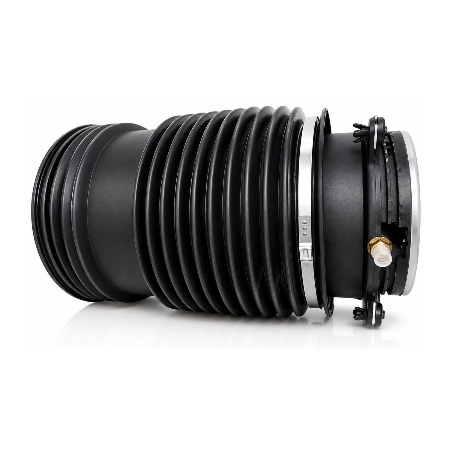 Rear Right Air Suspension Spring | Westar AS-17103 Fits Mercedes-Benz — image 3