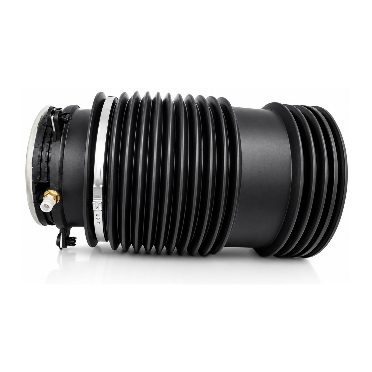 Rear Right Air Suspension Spring | Westar AS-17103 Fits Mercedes-Benz — image 4