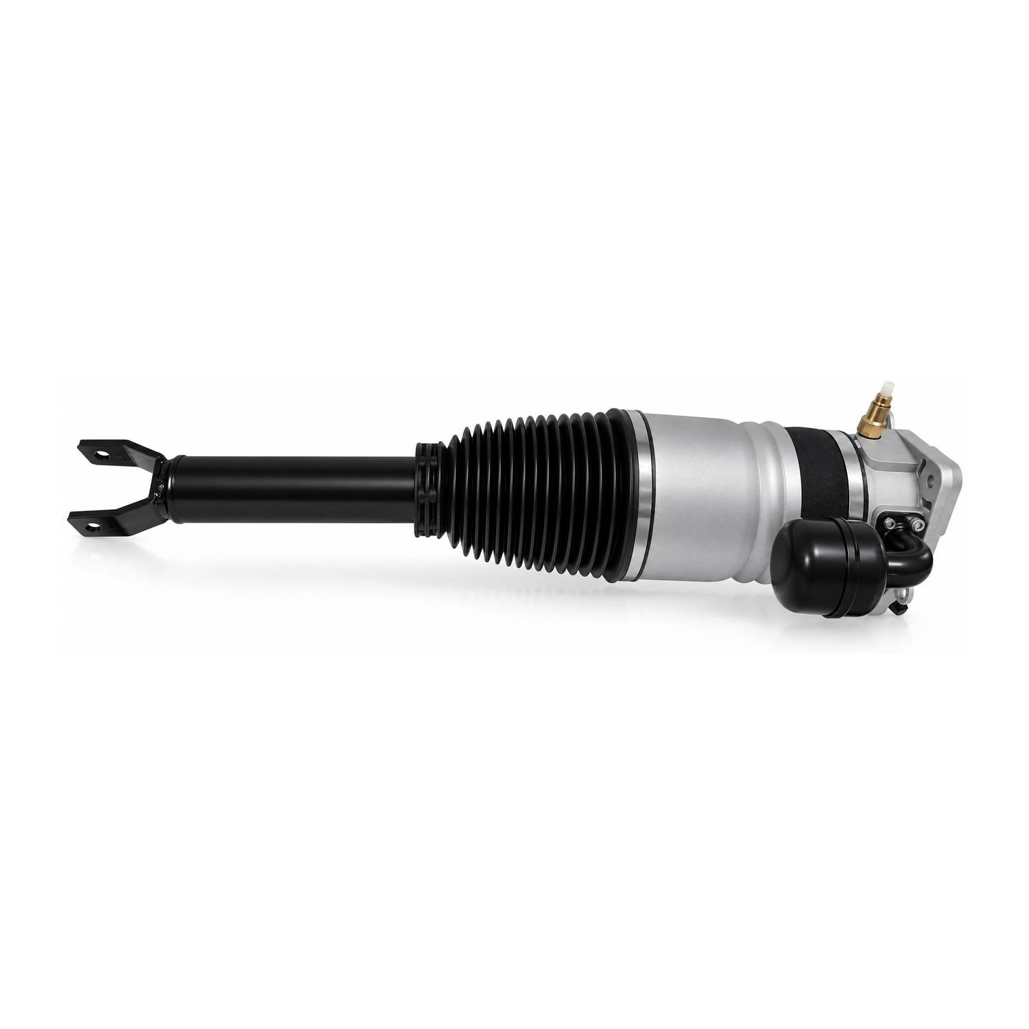 Bentley Volkswagen Rear Right Air Suspension Strut | Westar AS-7339 — image 3
